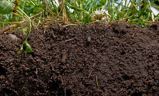 Maine Legislature First in Nation to Recognize Soils