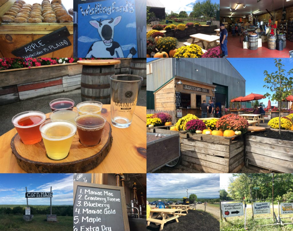 wallingfords collage greendrinks