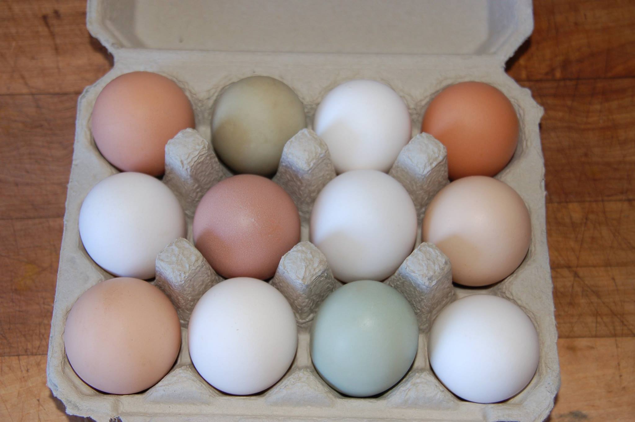 rainbow colored eggs