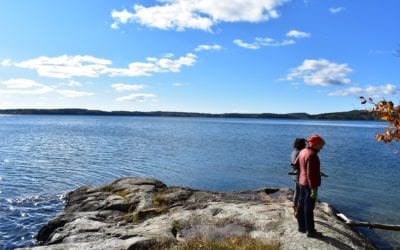 Exploring Watershed Connections